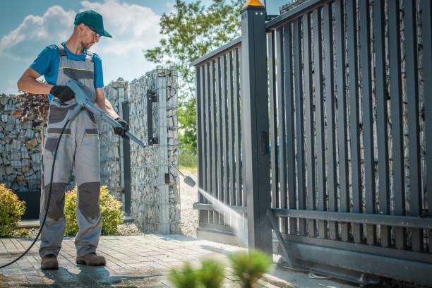 Best Dumpster Area Cleaning  in Albion, NY